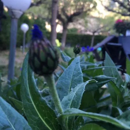 La Mirabelle-casteil Country House Séjour à la campagne Casteil