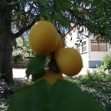 La Mirabelle-casteil Country House