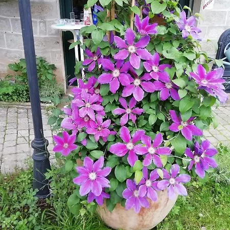 La Mirabelle-casteil Country House Séjour à la campagne Casteil