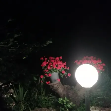 Séjour à la campagne La Mirabelle-casteil Country House *