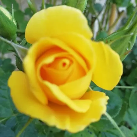 La Mirabelle-casteil Country House *