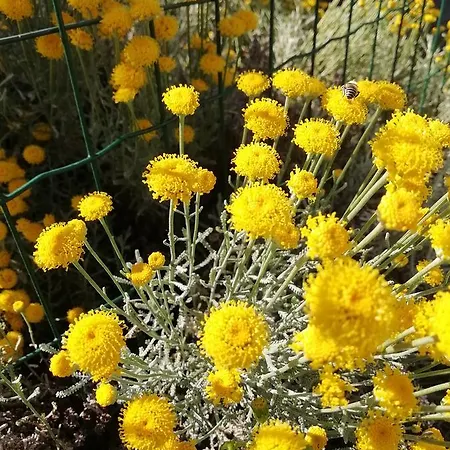 La Mirabelle-casteil Country House Séjour à la campagne